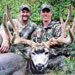 Mule Deer Hunting in Crested Butte
