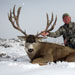 Mule Deer Hunting in Crested Butte