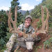 Mule Deer Hunting in Crested Butte