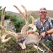 Mule Deer Hunting in Crested Butte