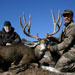 Mule Deer Hunting in Crested Butte