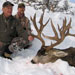 Mule Deer Hunting in Crested Butte