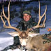 Mule Deer Hunting in Crested Butte