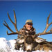 Mule Deer Hunting in Crested Butte