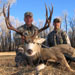 Mule Deer Hunting in Crested Butte