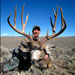 Mule Deer Hunting in Crested Butte