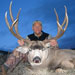 Mule Deer Hunting in Crested Butte
