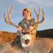 Mule Deer Hunting in Crested Butte