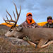 Mule Deer Hunting in Crested Butte