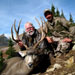Mule Deer Hunting in Crested Butte