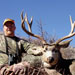 Mule Deer Hunting in Crested Butte