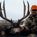 Mule Deer Hunting in Crested Butte