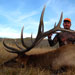 Elk Hunting in Crested Butte