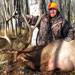 Elk Hunting in Crested Butte