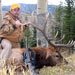 Elk Hunting in Crested Butte