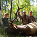 Elk Hunting in Crested Butte