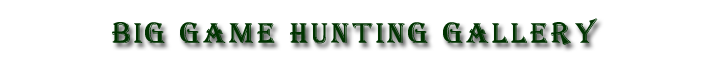 Big Game Hunting of  Elk, Mule Deer and Bear